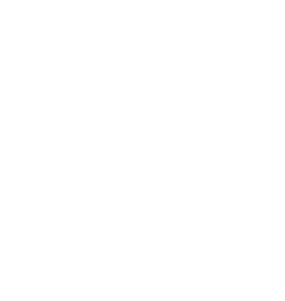 Volley Dragons Stein am Rhein